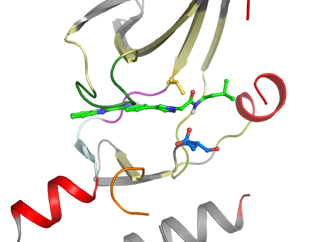 The orthosteric binding pocket