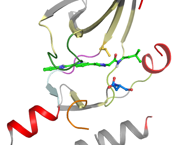 The orthosteric binding pocket