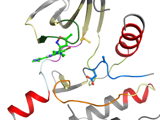The orthosteric binding pocket