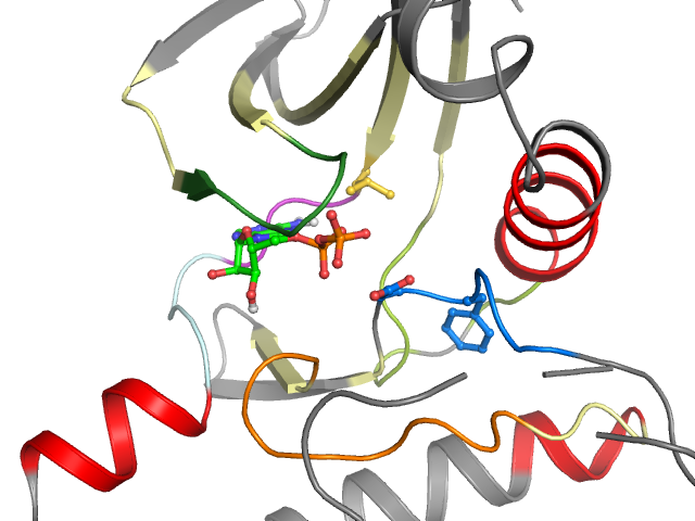 The orthosteric binding pocket