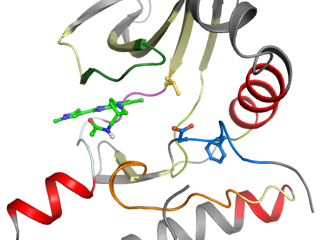 The orthosteric binding pocket