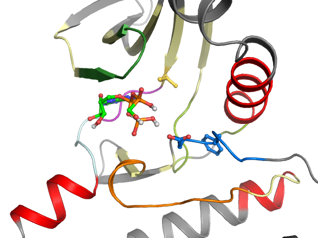 The orthosteric binding pocket