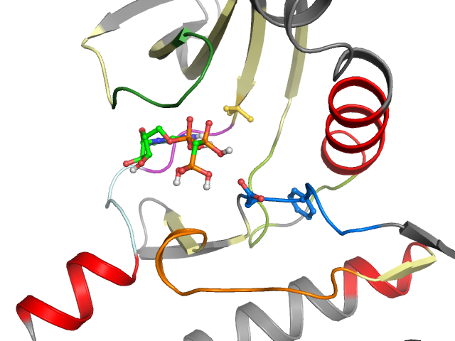 The orthosteric binding pocket