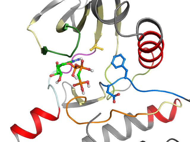 The orthosteric binding pocket