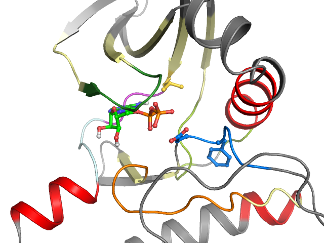 The orthosteric binding pocket