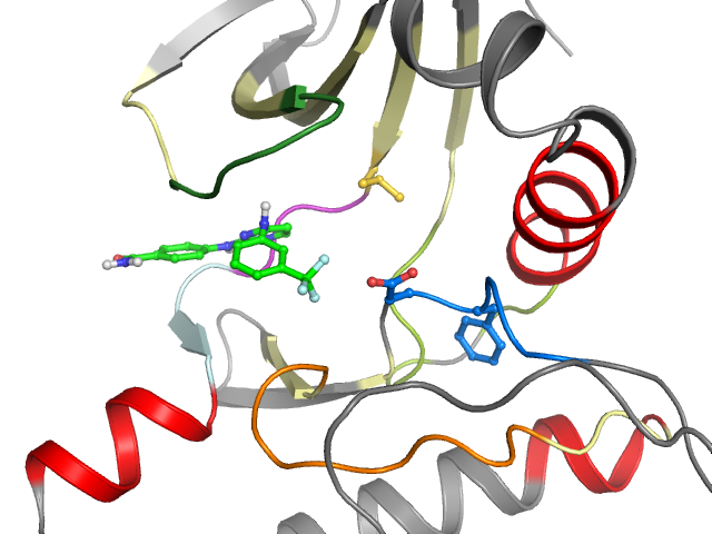 The orthosteric binding pocket