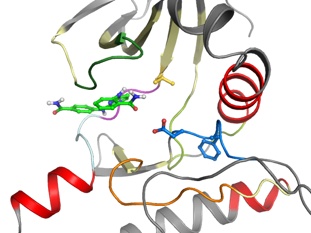 The orthosteric binding pocket
