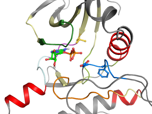 The orthosteric binding pocket