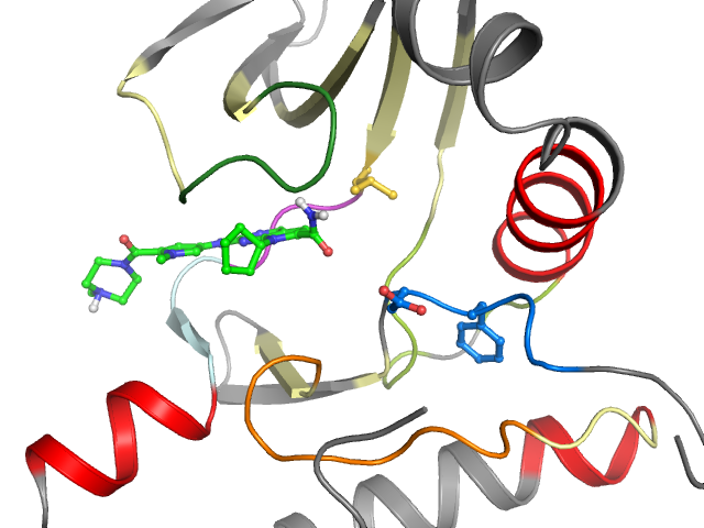 The orthosteric binding pocket