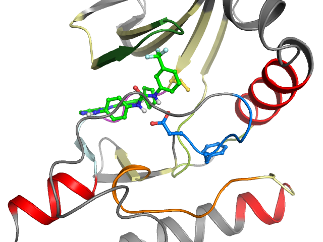 The orthosteric binding pocket