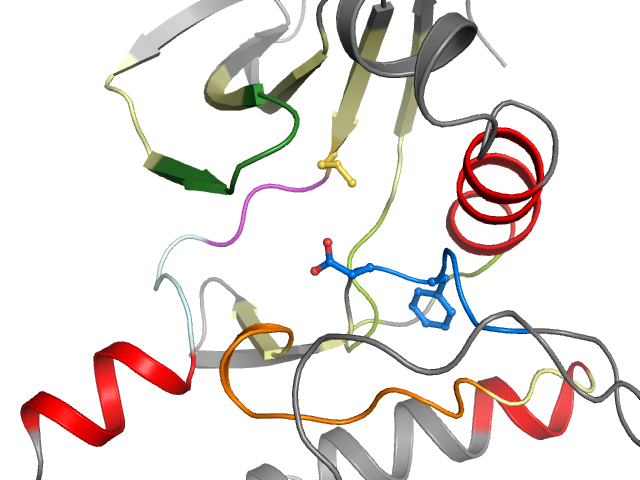 The orthosteric binding pocket