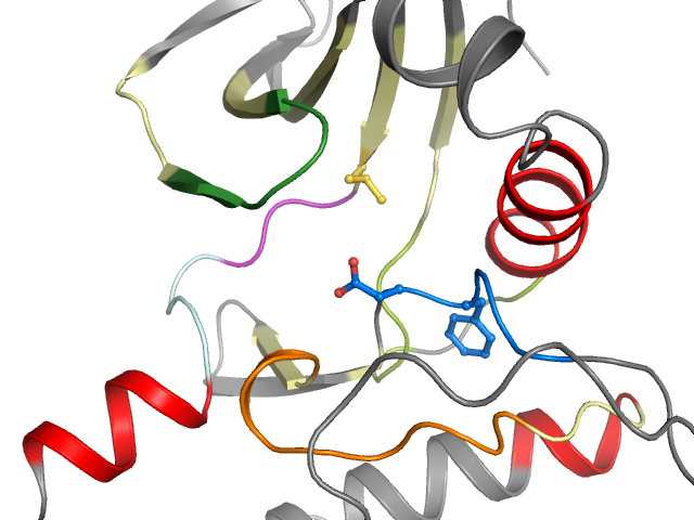 The orthosteric binding pocket