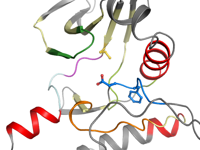 The orthosteric binding pocket