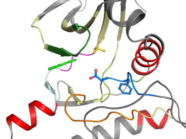 The orthosteric binding pocket