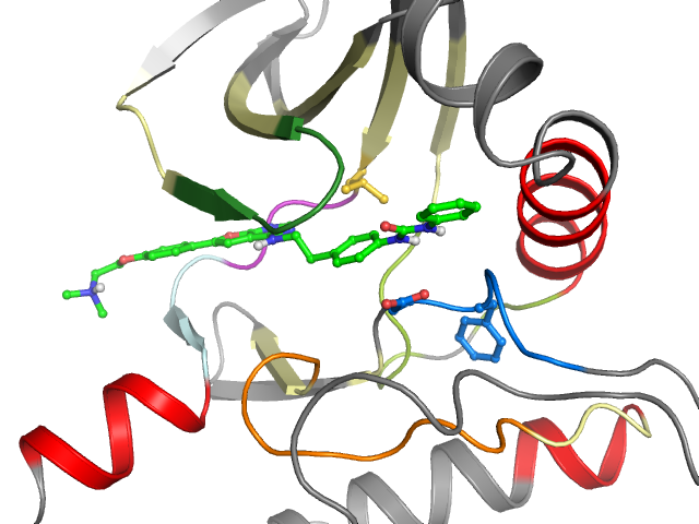 The orthosteric binding pocket