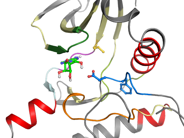 The orthosteric binding pocket