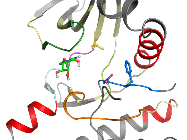 The orthosteric binding pocket