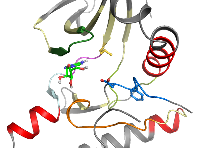 The orthosteric binding pocket