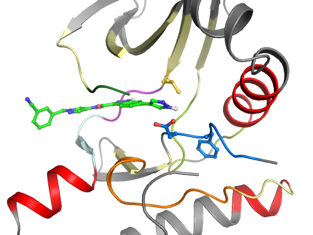 The orthosteric binding pocket