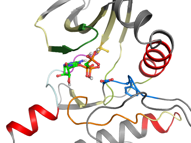 The orthosteric binding pocket