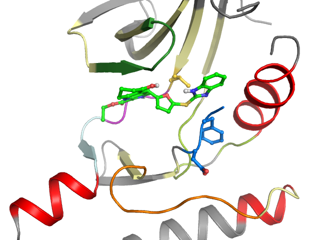 The orthosteric binding pocket