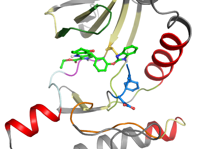 The orthosteric binding pocket