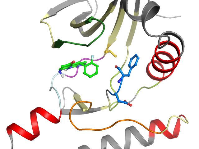 The orthosteric binding pocket