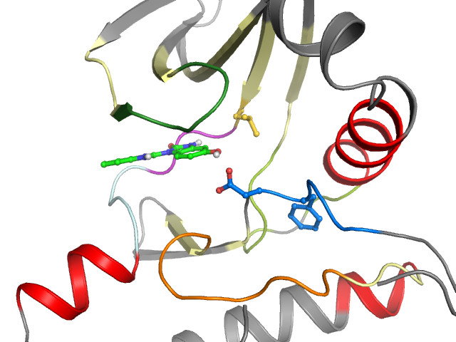The orthosteric binding pocket