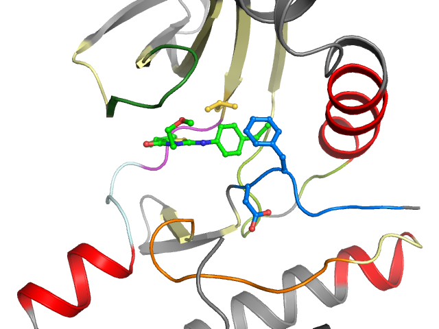 The orthosteric binding pocket