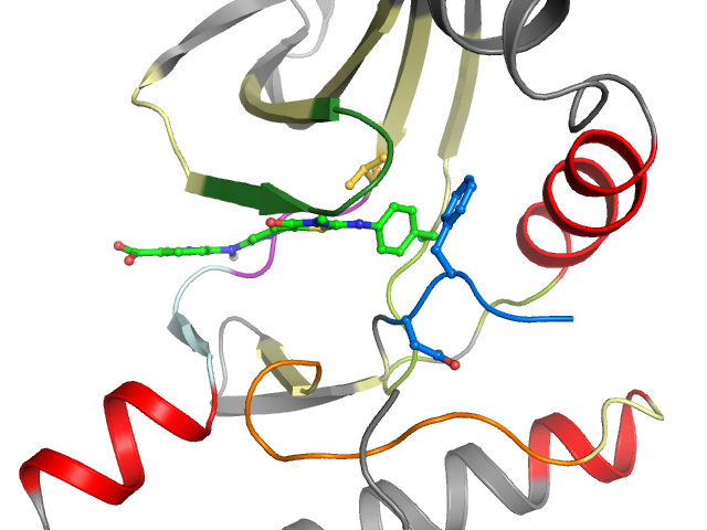 The orthosteric binding pocket