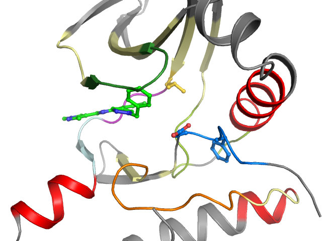 The orthosteric binding pocket