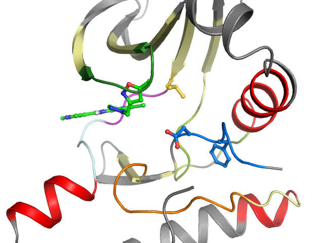 The orthosteric binding pocket