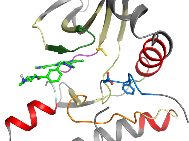 The orthosteric binding pocket