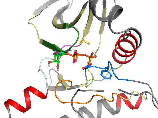 The orthosteric binding pocket