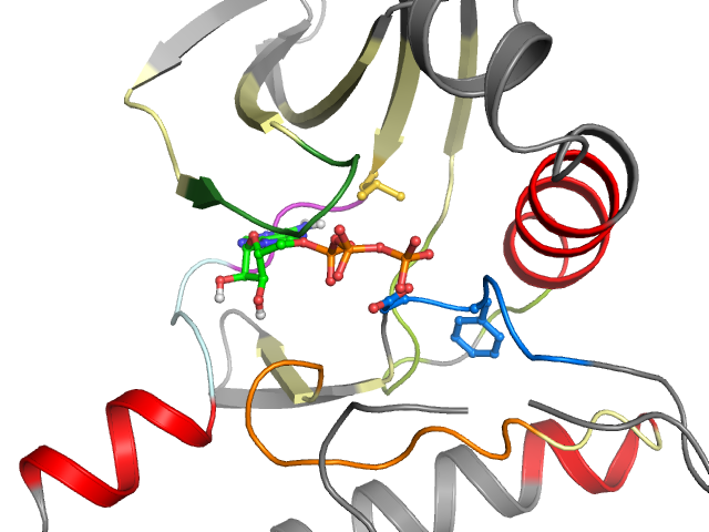 The orthosteric binding pocket