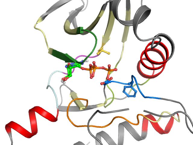 The orthosteric binding pocket