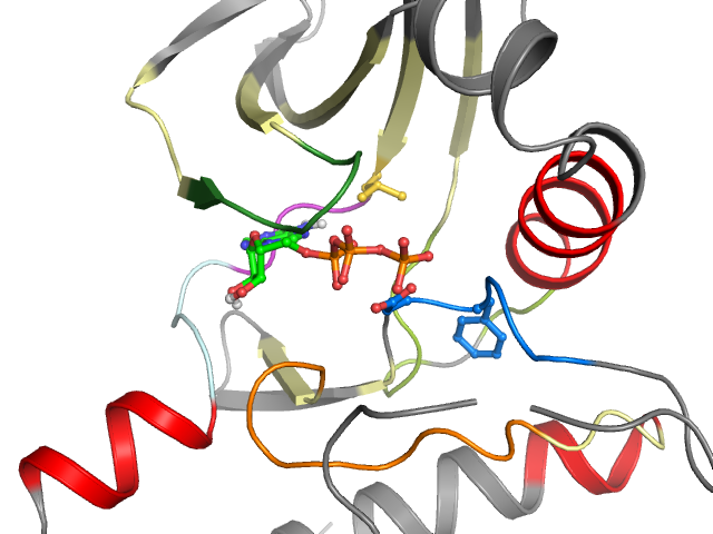 The orthosteric binding pocket