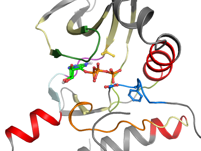 The orthosteric binding pocket