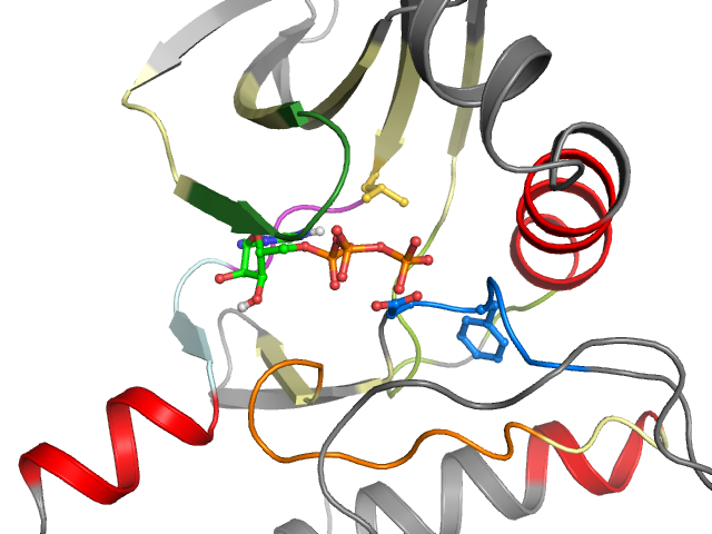 The orthosteric binding pocket