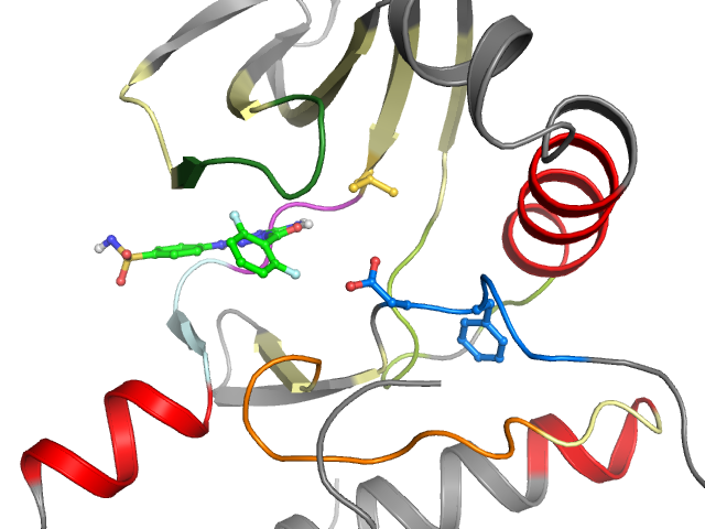 The orthosteric binding pocket