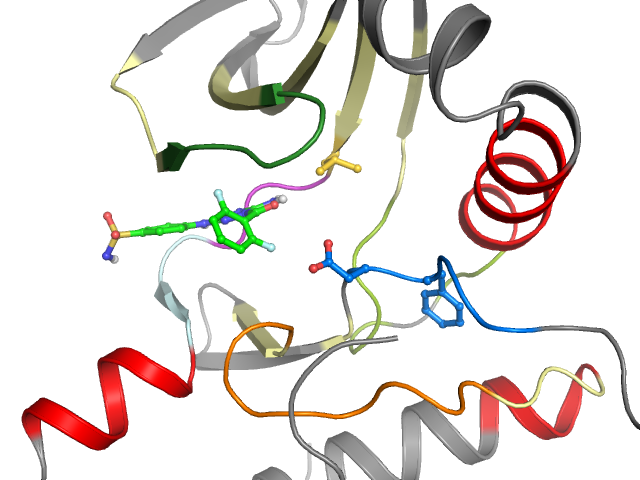 The orthosteric binding pocket