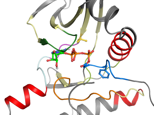 The orthosteric binding pocket