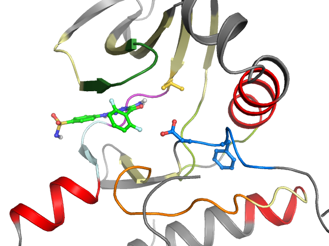The orthosteric binding pocket