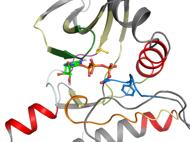 The orthosteric binding pocket