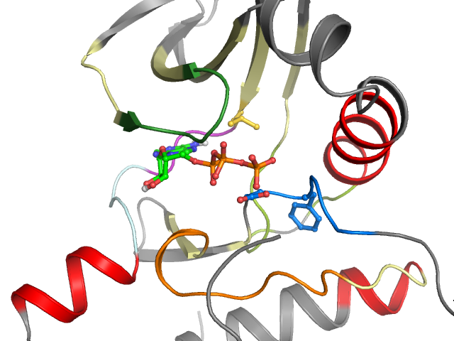 The orthosteric binding pocket