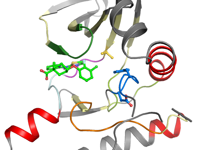 The orthosteric binding pocket