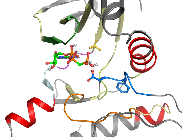 The orthosteric binding pocket