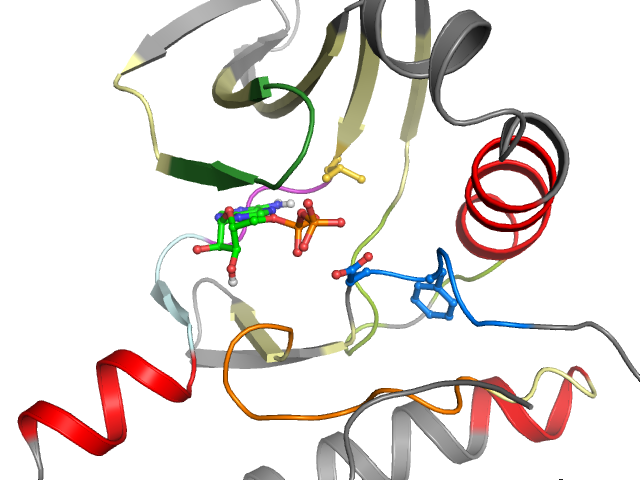 The orthosteric binding pocket