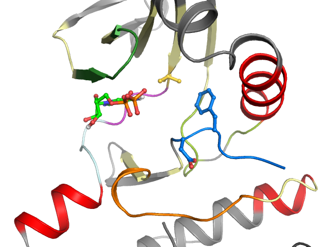 The orthosteric binding pocket