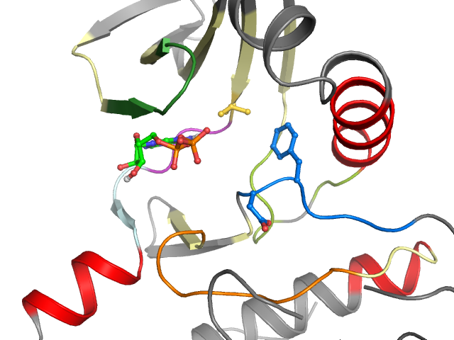 The orthosteric binding pocket